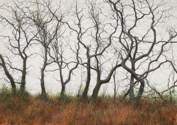 Cold Day, Autumn Colours